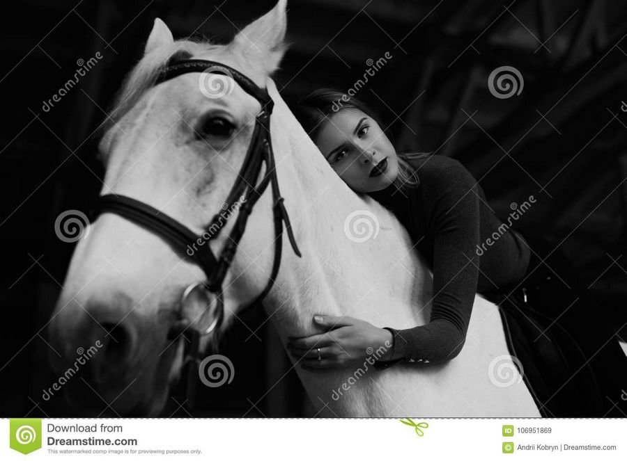 К чему снится лошадь: Сонник белая лошадь во сне видеть женщине