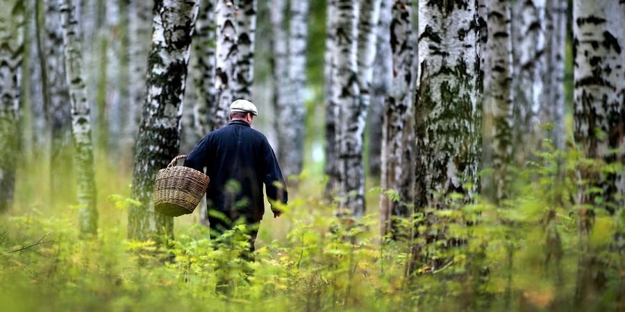 К чему снится заблудиться - Потеряться во сне к чему