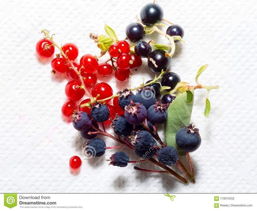 К чему снятся красные и черные ягоды. Во сне видишь красную ягоду