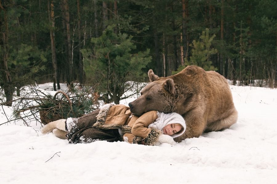 К чему снятся медвежата? Медведь во сне для женщины