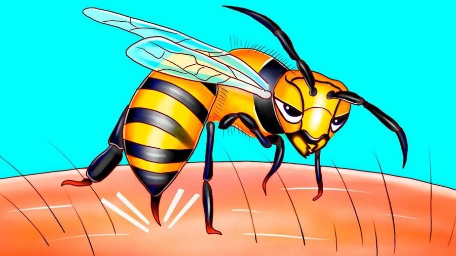 К чему снятся пчелы? Сонник пчелы во сне много не кусают