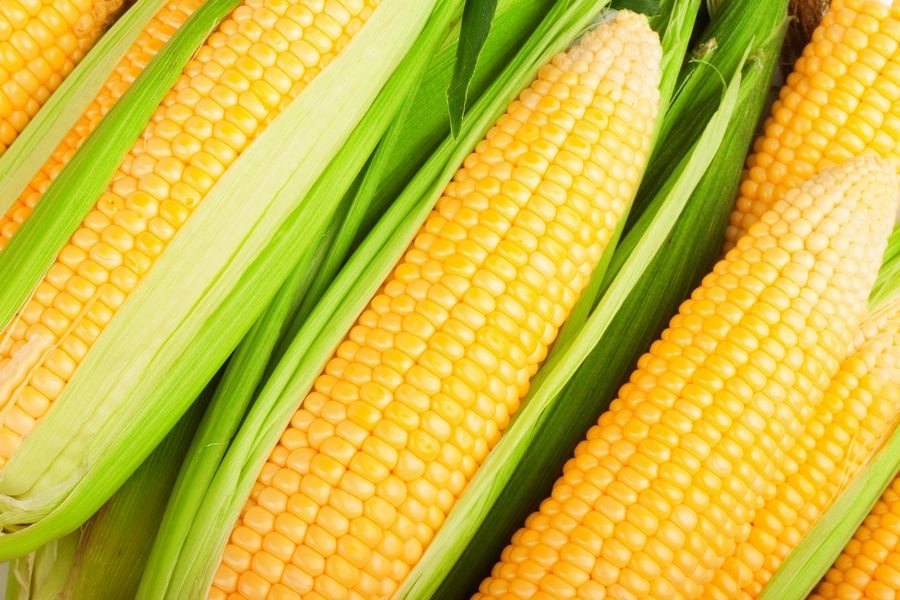 Как толковать сон о кукурузе - 28 значений. Приснилась кукуруза