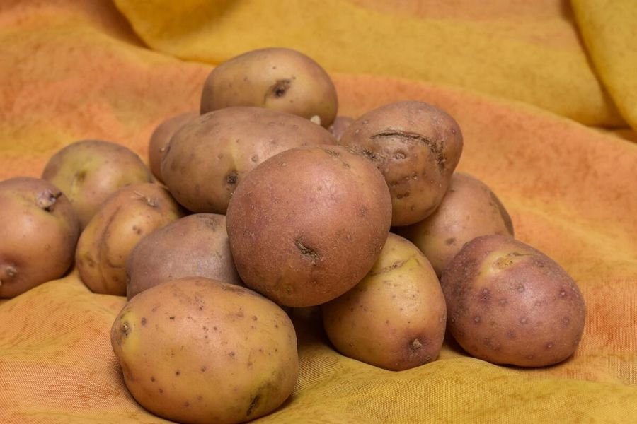 Картофель, картошка к чему снятся во сне. Видеть во сне картошку крупную много