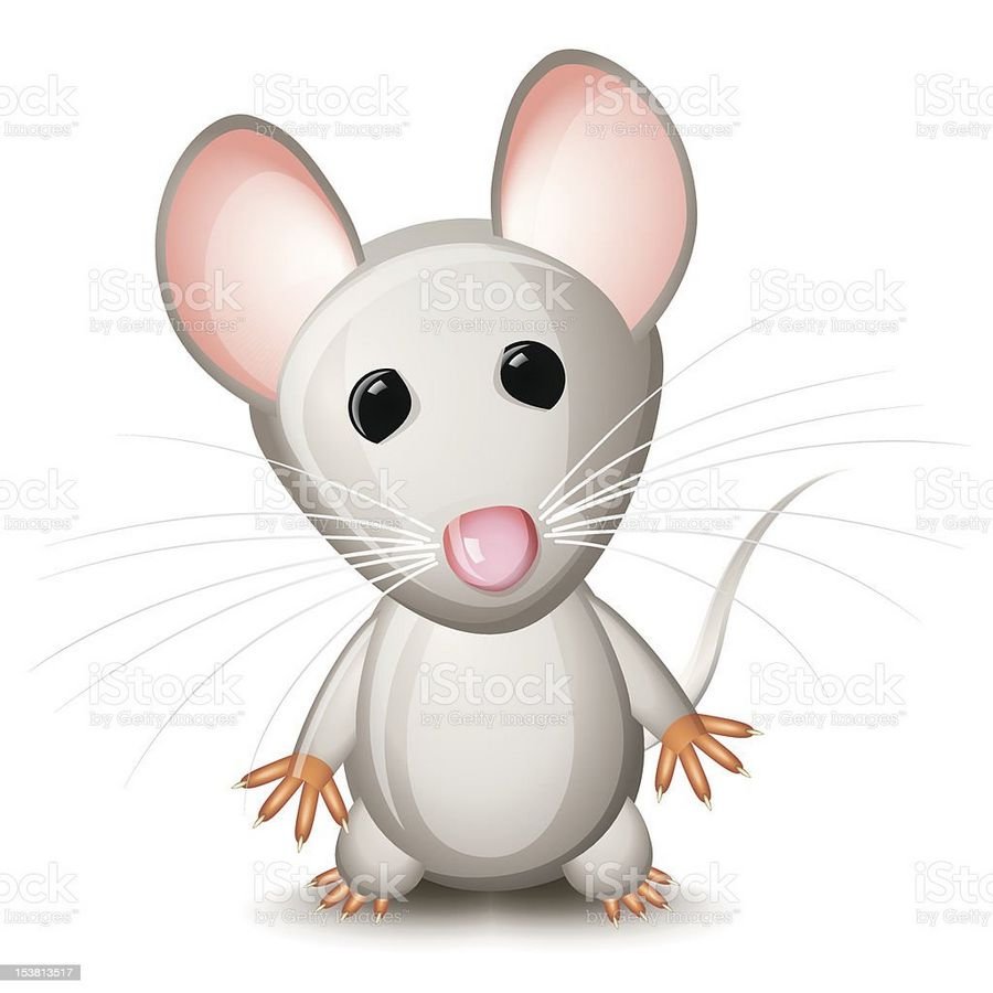 Приснились серые мышки маленького или большого размера - Приснилась мышка маленькая