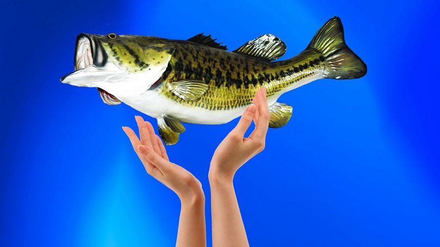 К чему снится ловить руками рыбу? Ловить рыбу во сне мужчине