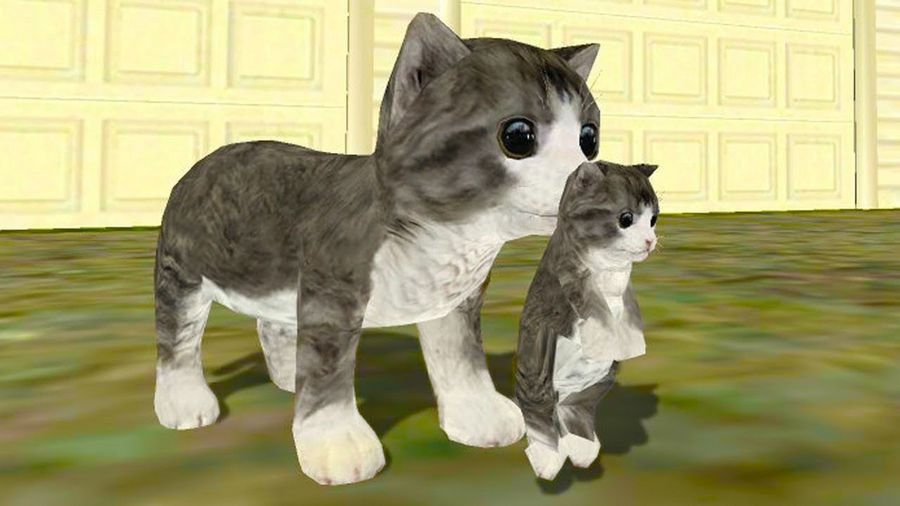Сонник игры с Котятами - Сонник коты к чему