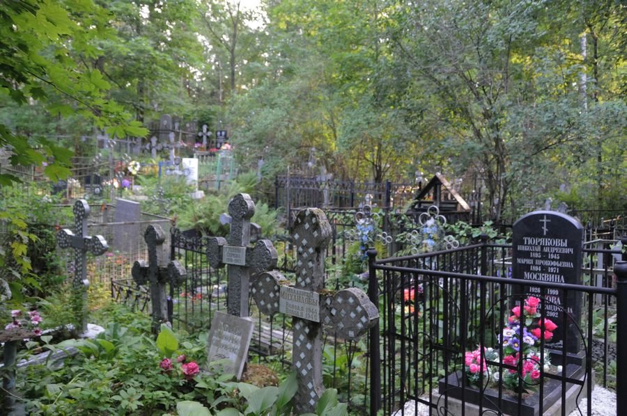 Сонник - к чему снится кладбище - Что значит если снится кладбище