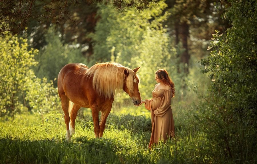 Сонник - к чему снится конь: Лошадь во сне к чему снится женщине