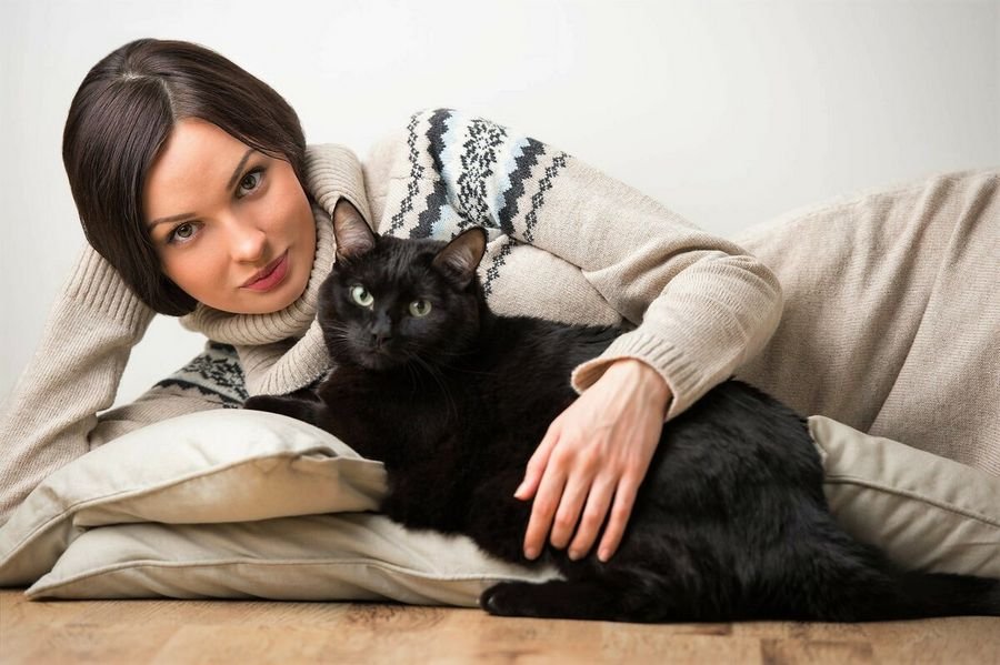 Сонник - к чему снятся много кошек - Приснился черный кот к чему это женщине