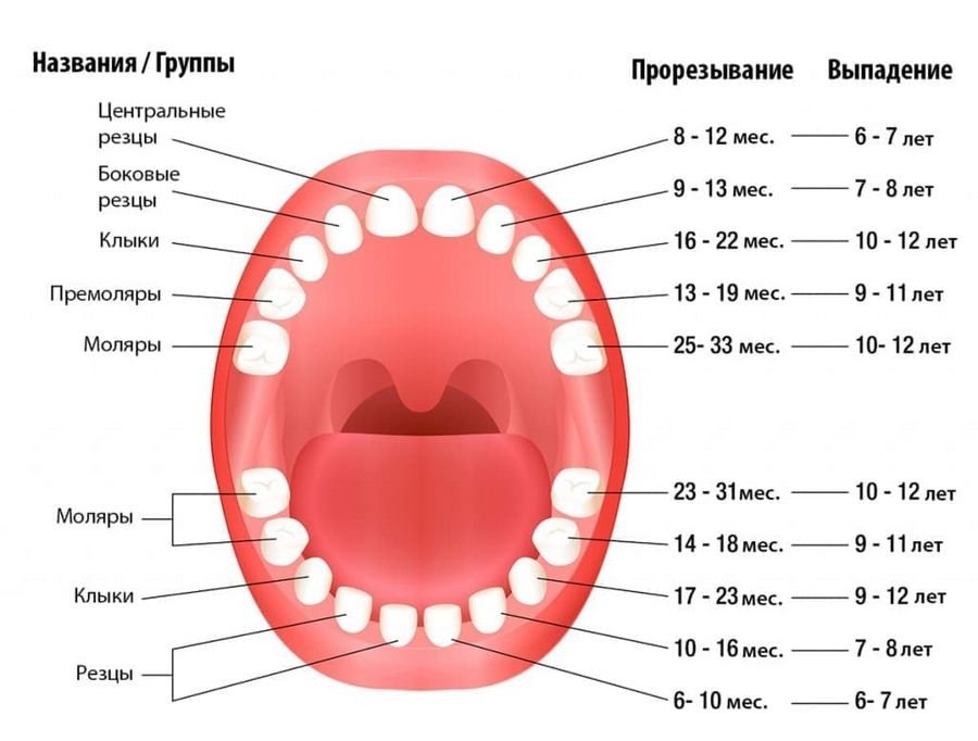Сонник - к чему снится выпадение зубов? К чему снятся зубы во сне