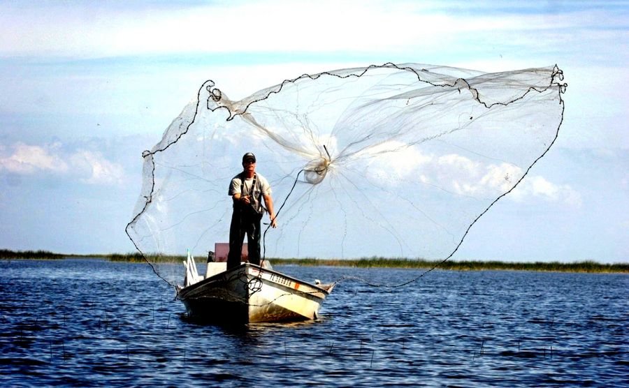 Сонник Сетки рыбы - Приснилась ловля рыбы