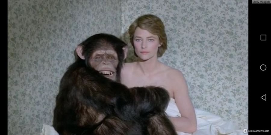 Толкование, к чему женщине или мужчине снится обезьяна - К чему снятся обезьяны во сне женщине