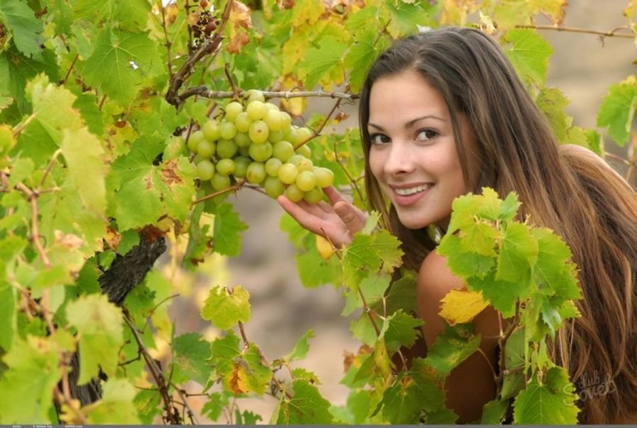 Во сне есть виноград. Виноград сонник значение сна для женщин